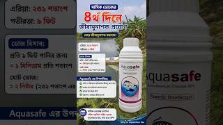 মাছের ঘেরে জীবানুনাশক দিলাম। #fishfarming #মাছচাষ ##dailyvlog