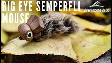 How to Tie - Big Eyed Semperfli Mouse | AvidMax Fly Tying Tuesday Tutorials