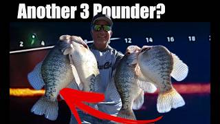 Shallow Water Crappie Another 3 Pounder