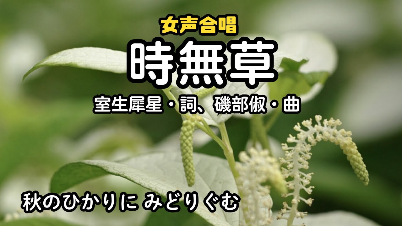時無草です。 時無草」詩：室生犀星、曲：磯部俶（八戸市立根城中学校合唱部） - YouTube