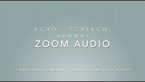 Zoom Audio Echo Computer Version