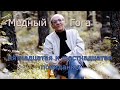 Э. Кочергин - "Медный Гога" - Пятнадцатая и шестнадцатая повиданки