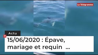 Épave, mariage, requin … Cinq infos bretonnes du 15 juin