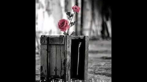 من الآية 5 إلى الآية 9 من سورة البقرة تلاوة تريح القلب 😌