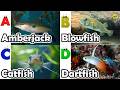 ABC Song with Sea Animals 🐳 | Learn A to Z Alphabet for Kids | Fun Ocean Learning Video