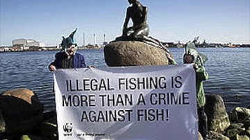 Tragedy of the Commons - Overfishing(oceanic)