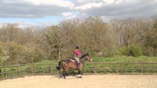 IMG 2162 IMG 2162