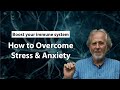 How to Overcome Stress and Anxiety - Dr Bruce Lipton