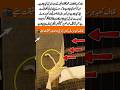 Why the Kaaba’s Black Cloth Is Changed Every Year? Kiswah of Kaaba Explained#ytshorts #khanakaba#yt