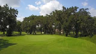 Sapelo Hammock Hole Flyover