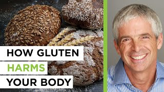 Gluten Sensitivity and Celiac Disease  with Dr. Tom O'Bryan | The Empowering Neurologist EP. 61