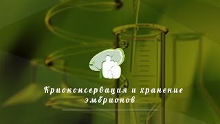 Криоконсервация и хранение эмбрионов