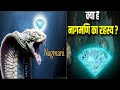 नागमणि का सच क्या है | क्या नागमणि होती है |amazing facts