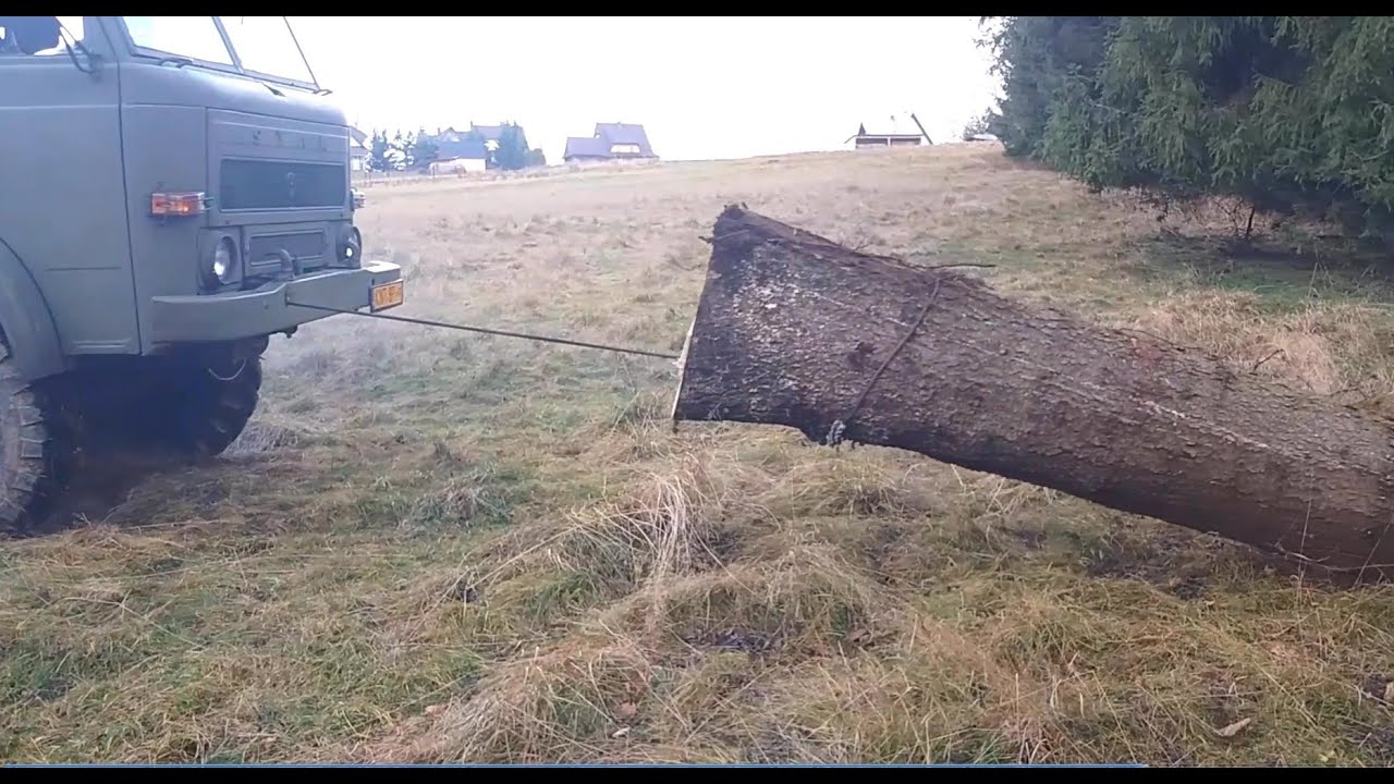 STAR 266 - Wyciąganie ogromnego świerka z głębokiego wąwozum, Polish military truck -OFF-ROAD