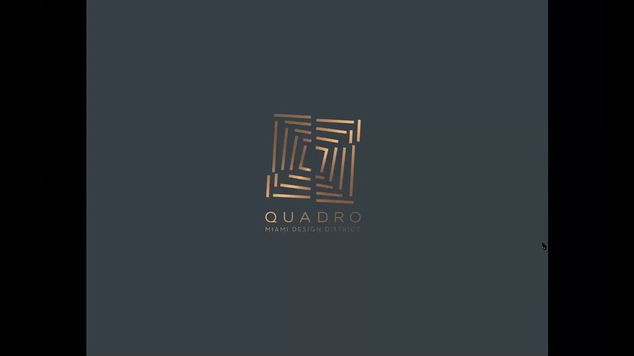 Quadro Miami Design District Night Time Lapse 