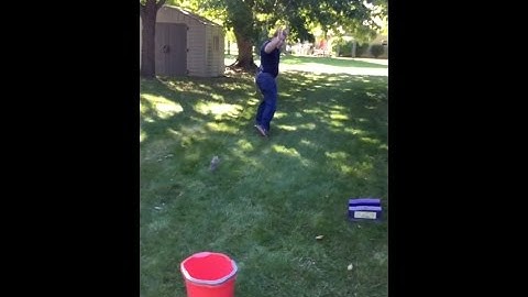 Get Rid Of Chipmunks | Why The Bucket Method Doesn’t Work | What Does Work