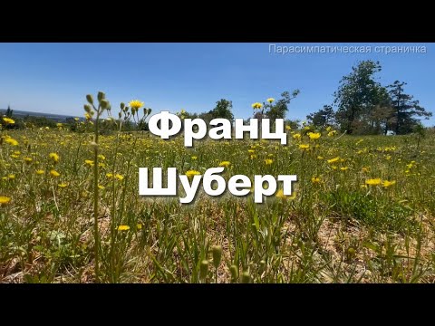 Франц Шуберт струнный квартет 5 Классическая музыка Музыка для души