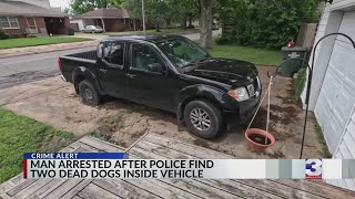 Two dogs found dead in truck; man arrested