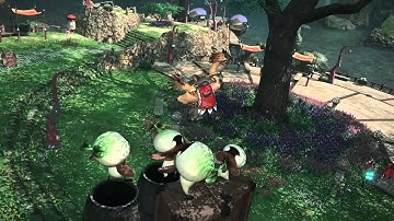 A Realm Reborn: Chocobo Training Scene 1