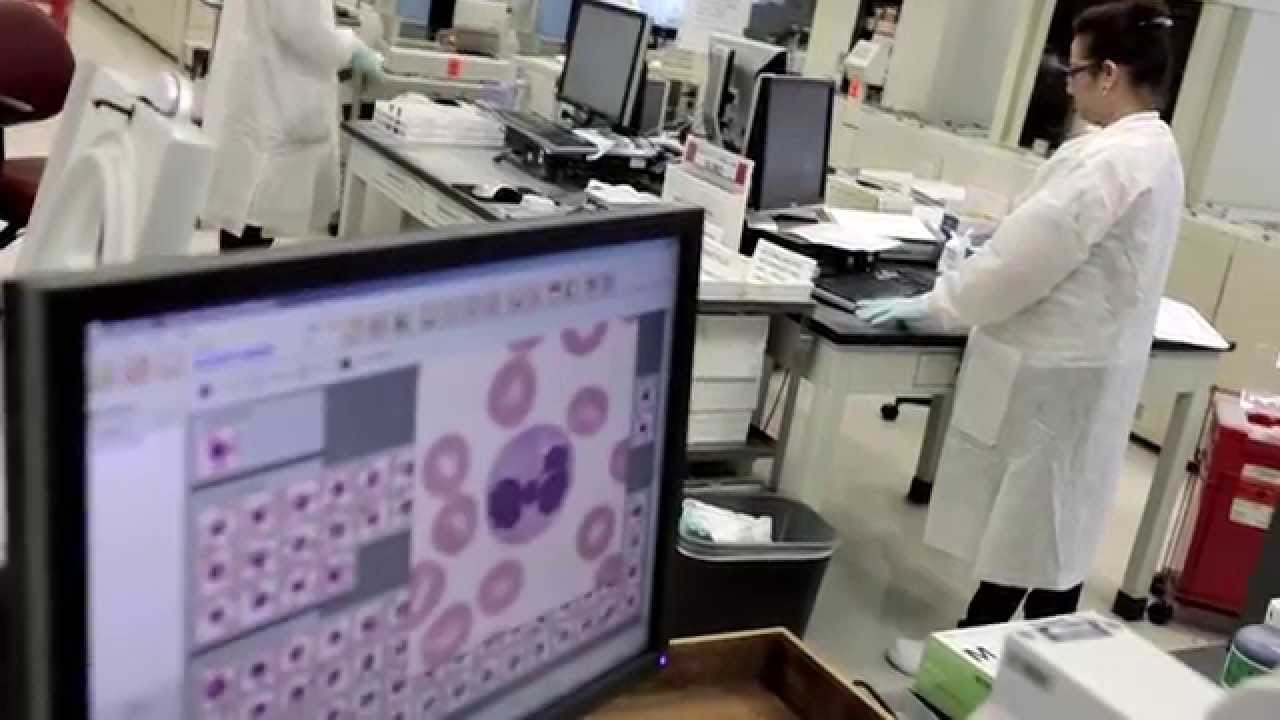A Turning Point For Cancer: Personalized Cancer Immunotherapy neurology department