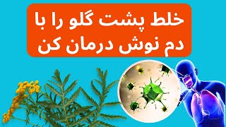 mucus  خلط پشت گلو را با دم نوش درمان کنید