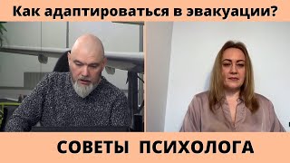 Как адаптироваться в эвакуации? Стратегии поведения беженцев. Анна Чеченина, психолог