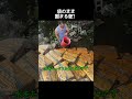袋のまま固まる壁？