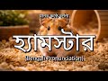 👉 How To Say: হ্যামস্টার - Bengali Pronunciation