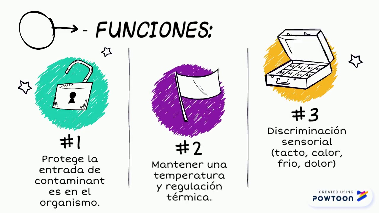 seminario de complementación 2 - YouTube