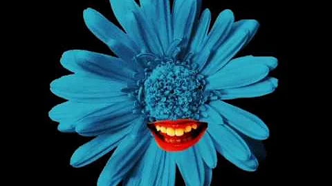 Hatsune Miku- "鵠(Cygnus)" English Subbed