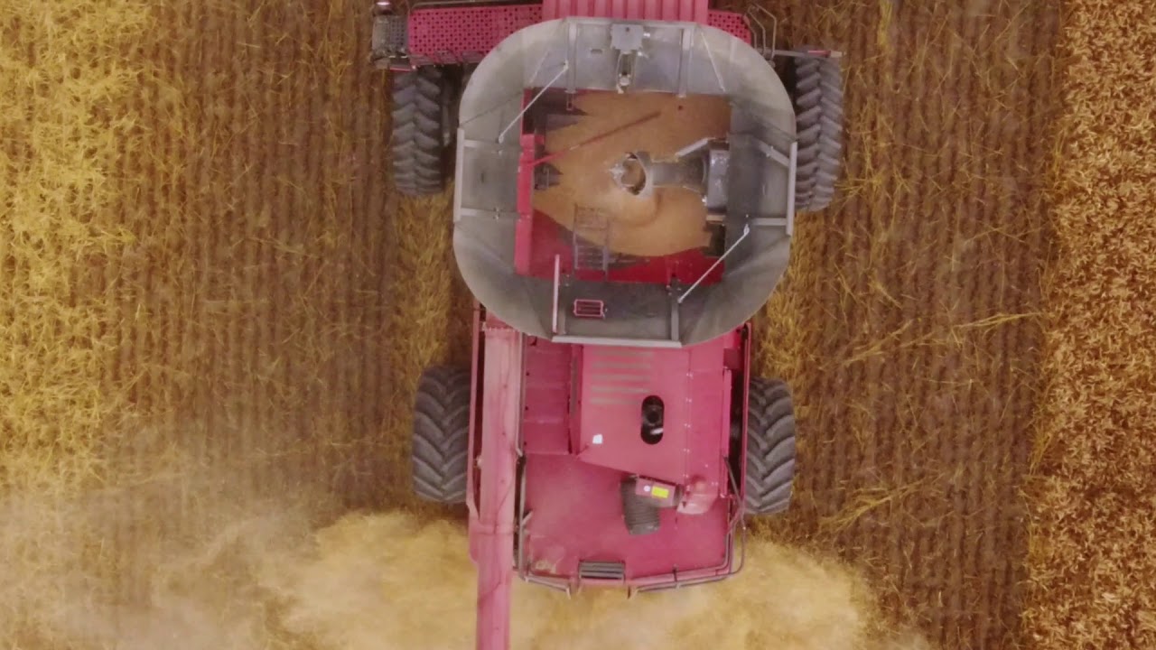 Phillips Seed Intro Video YouTube