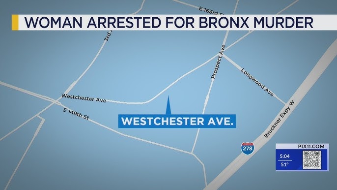 Daughter Allegedly Kills Mother In The Bronx Sources