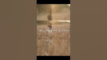 سورة العنكبوت