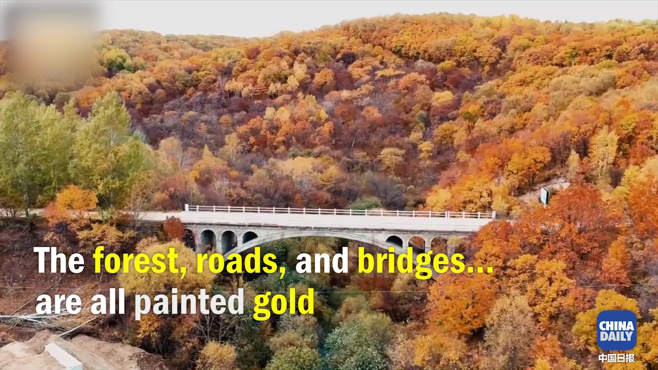 Lesser Khingan Spectacular! The Lesser Khingan Mountains become a dreamland - YouTube