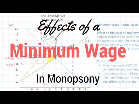 Minimum Wages in
