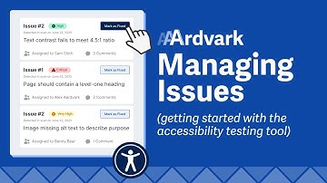 Managing Issues | Getting Started with AAArdvark | Digital Accessibility Testing Tool