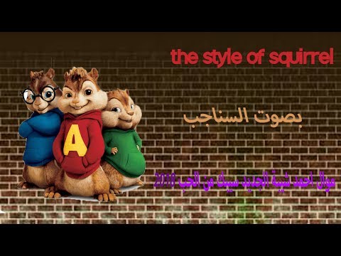موال احمد شيبة الجديد سيبك من الحب 2018 بصوت السناجب