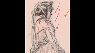 ART HISTORY and DRAWING: 15 MINUTES with MONET by The Drawing Database-Northern Kentucky University 2,382 views 2 years ago 12 minutes, 13 seconds