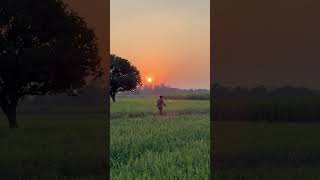 Mera Gaon #village #sunset #love #reels #video
