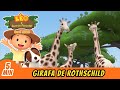 Girafa de rothschild  leo o guarda florestal  minisode  animao