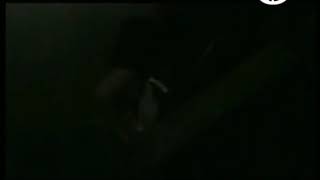 POD - Boom Live - Hamburg 2003