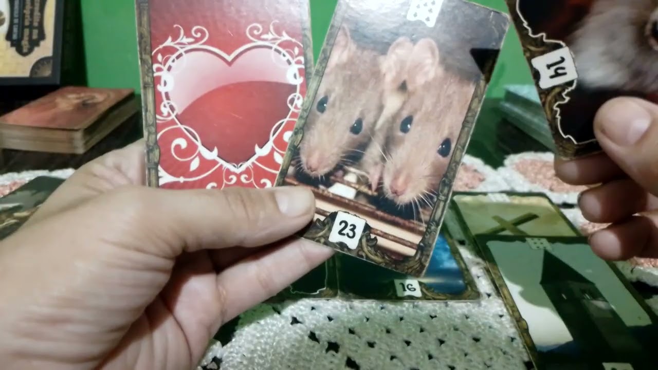 CAPRICÓRNIO  ESSA RAPOSA VELHA ESTA TE VIGIANDO, VAI TENTAR TE  ATRAPALHAR/NAO DEIXE POE PRA CORRER 