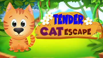 G4K Tender Cat Escape Game Walkthrough