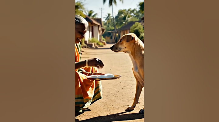 💛 Tamil Nadu Grandma Feeds Hungry Street Dog with Idly | Heartwarming Act of Kindness #village