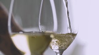 Школа сомелье WineState: уникальный образовательный винный проект для любителей и профессионалов