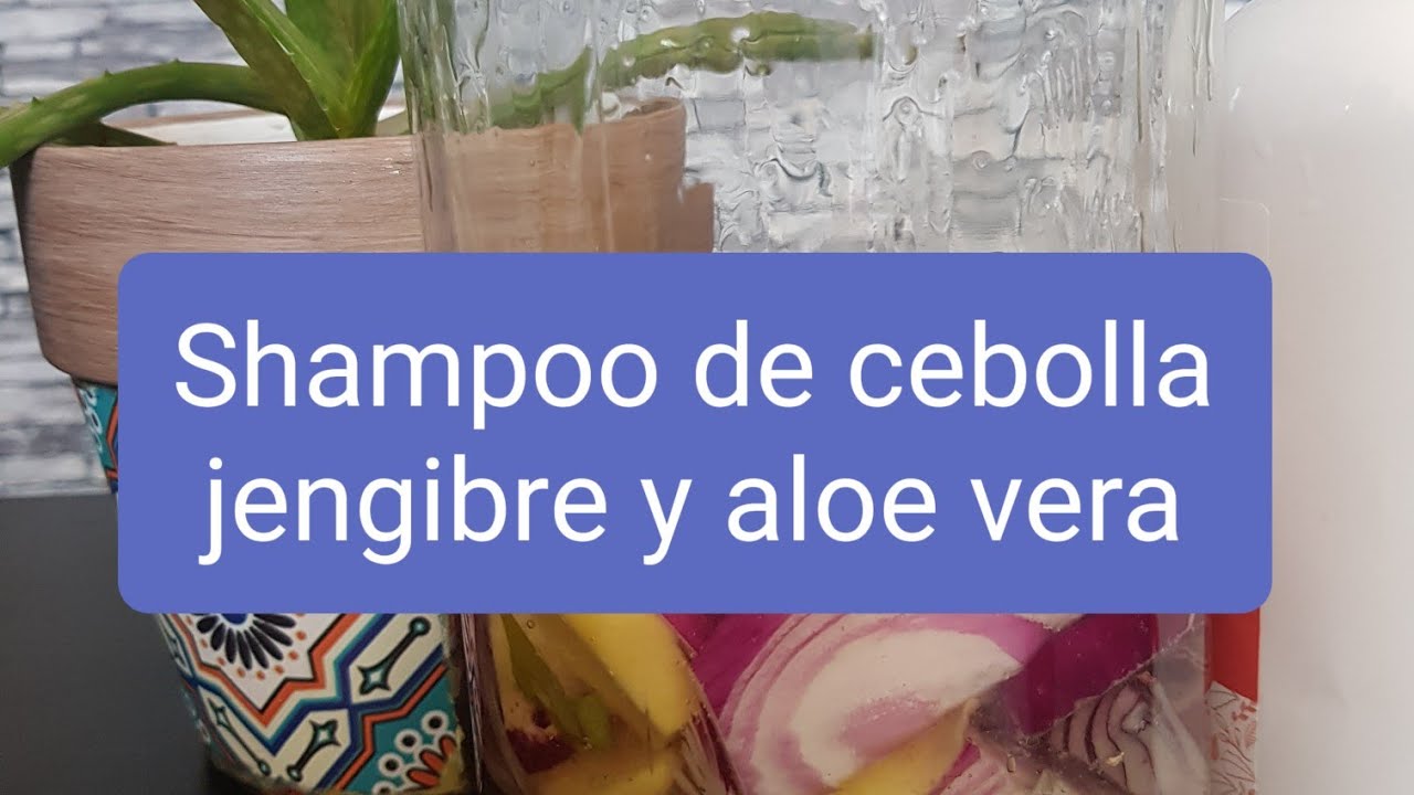 Shampoo de cebolla, jengibre y aloe vera para cuidar tu cabello. YouTube