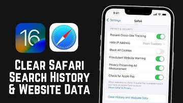 How To Clear Safari History & Website Data On iPhone iPods Pn iOS 16 2022