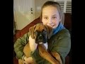 Christmas surprise....It's a Boxer Puppy!