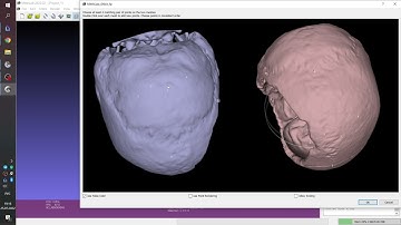 Mirroring skull in MeshLab