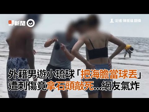 外籍男遊小琉球「把海膽當球丟」遭刺傷竟拿石頭敲死｜杉福漁港｜潮間帶｜破壞生態